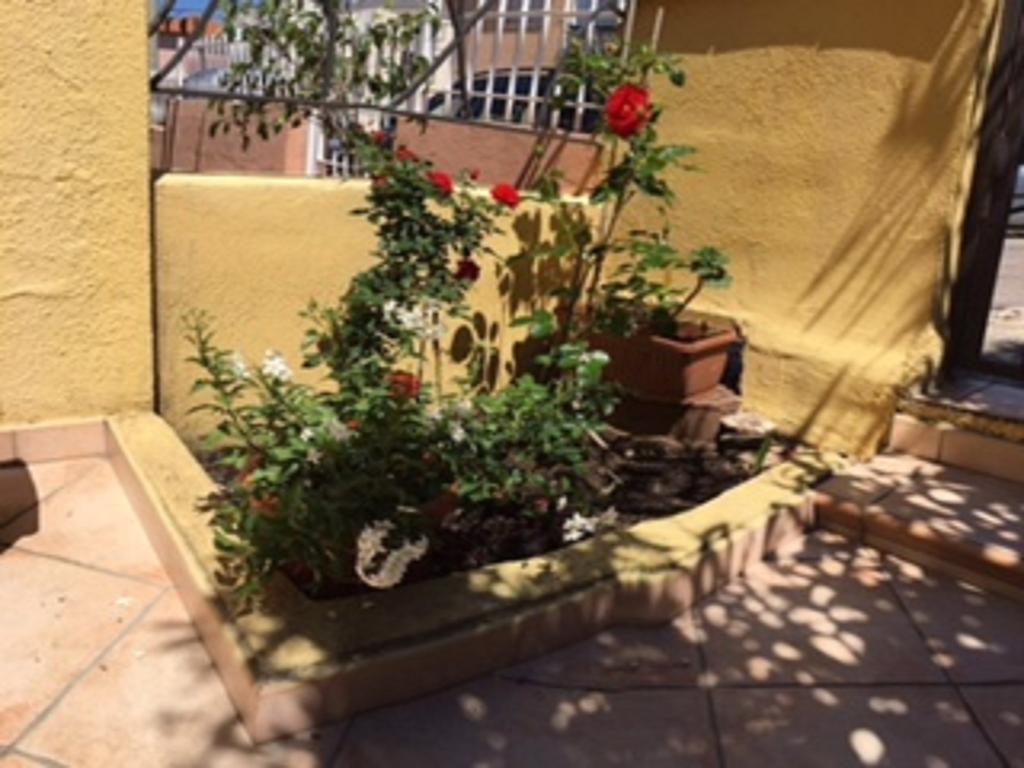 Guesthouse Nuvole Olbia Esterno foto